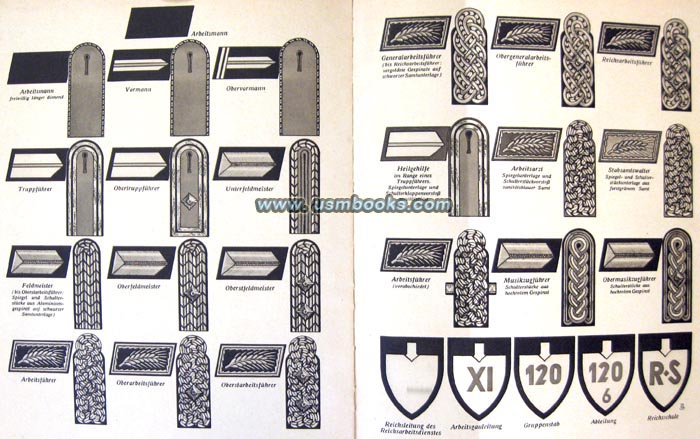 Reichsarbeitsdienst insignia and rank badges