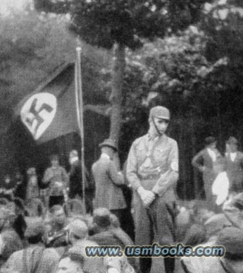 Nazi swastika flag