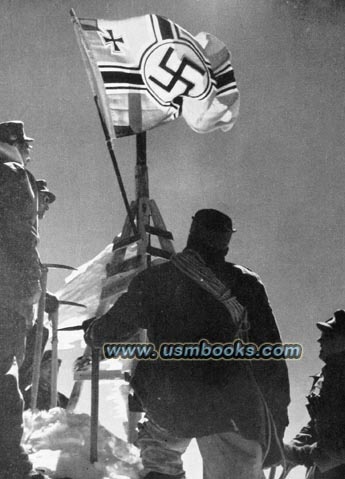 Nazi swastika flag