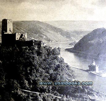 medieval castle ruins on the Rhine river